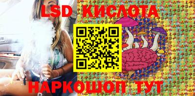 jwh Майкоп